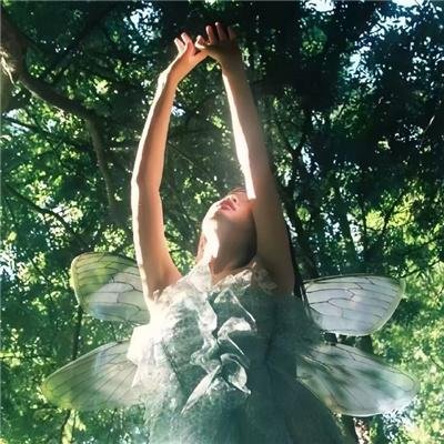 穿越无人区第一季